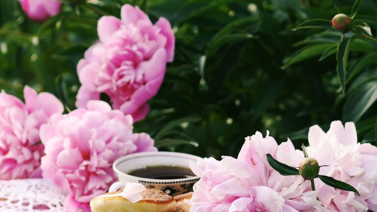 tea garden (featured image)