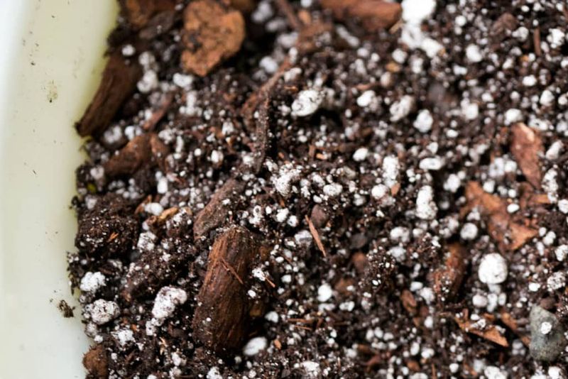 Specialized Desert Potting Mix