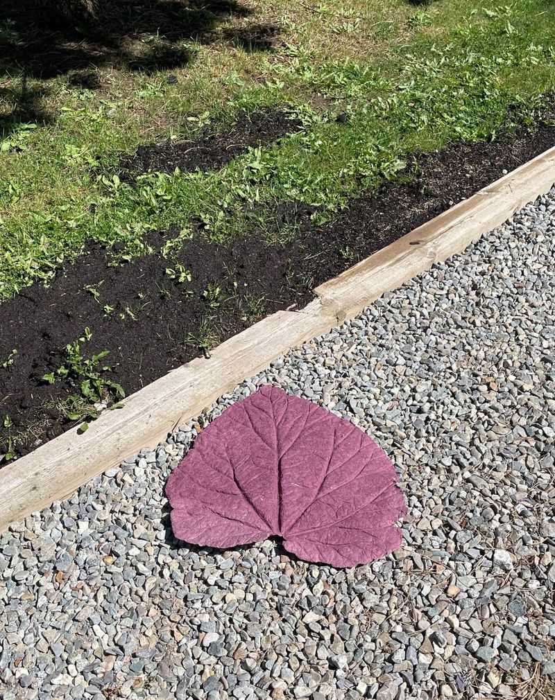 Smoky Mountain Leaf Collection