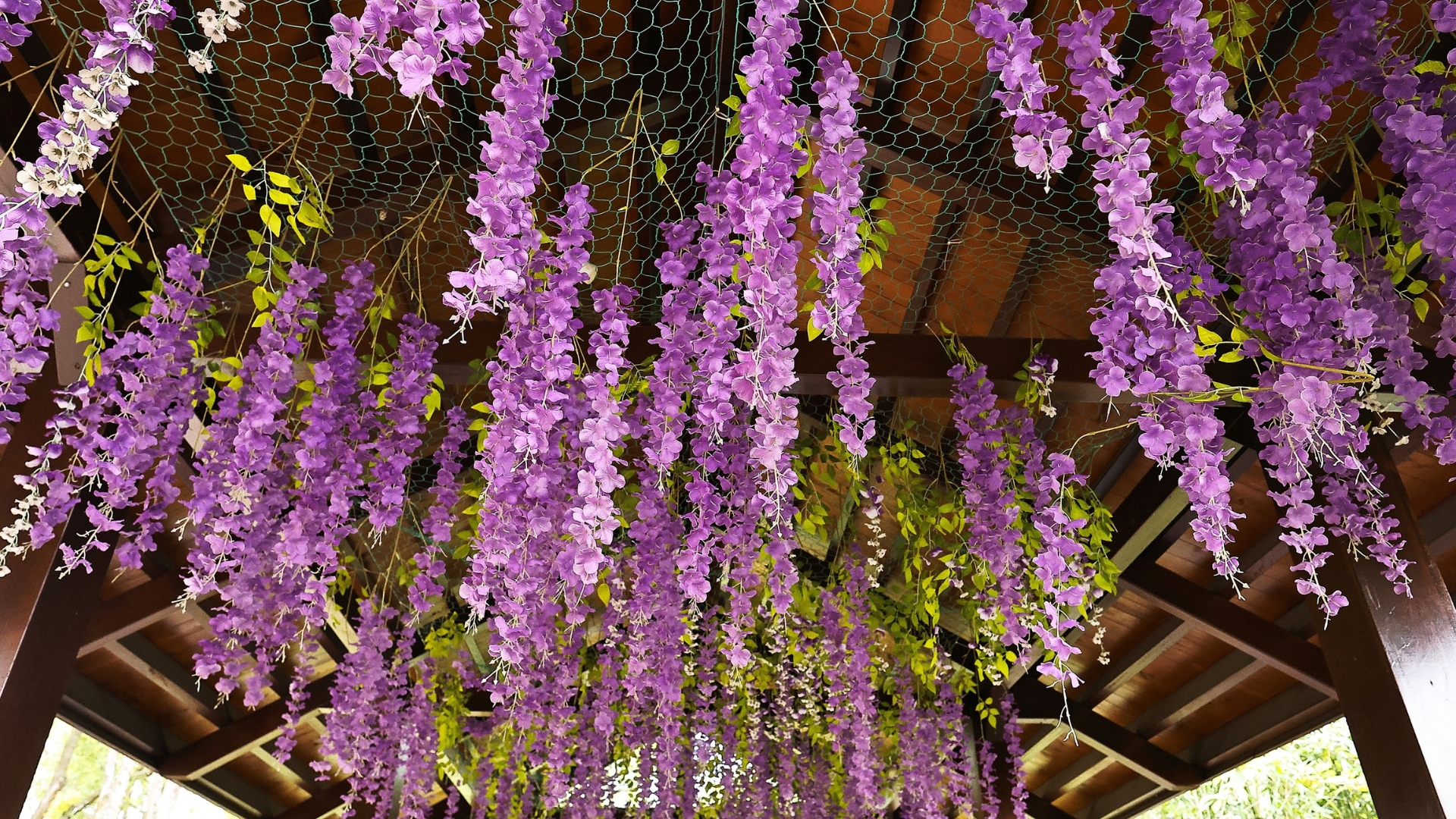 Tennessee Gardeners Are Building Plant Tunnels—And The Results Are Gorgeous