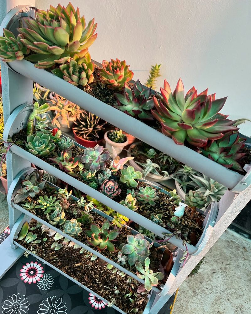 PVC Pipe Vertical Gardens