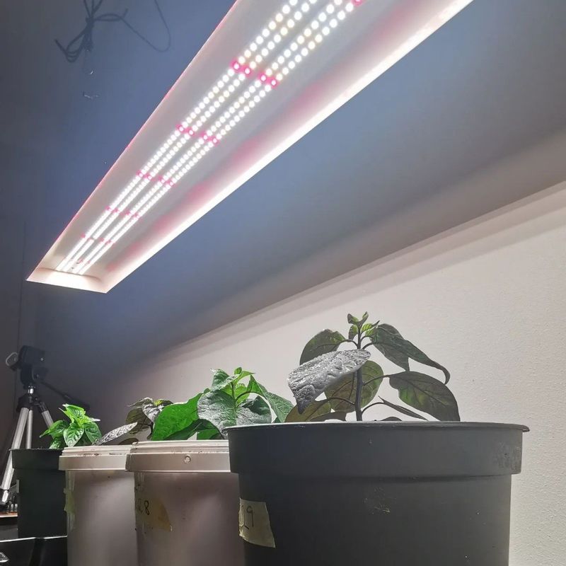 Smart Grow Light System