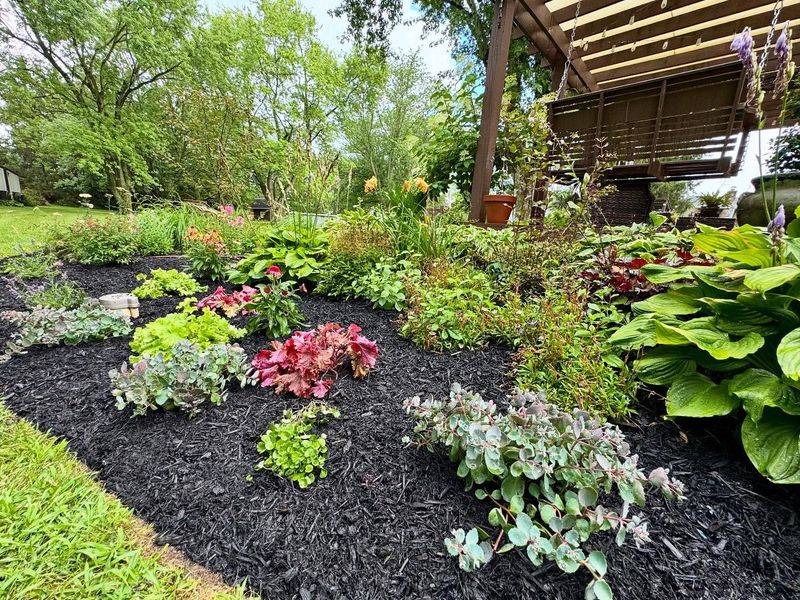 Mulch Perennial Beds