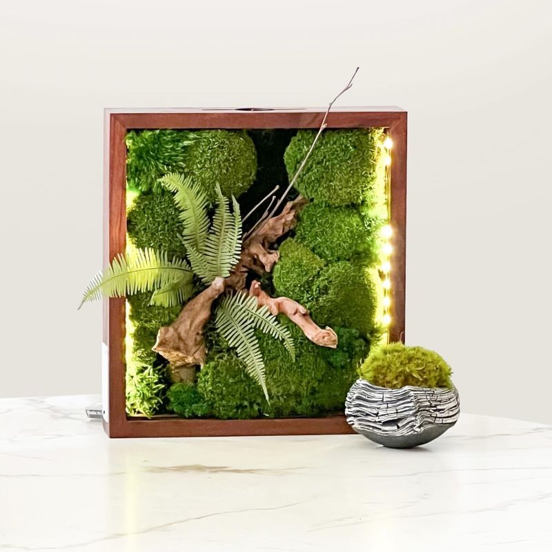 Framed Living Plant Art