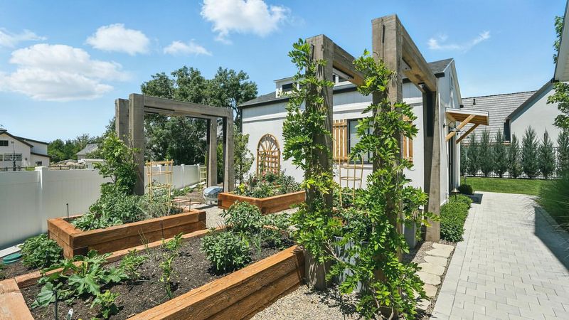 Build Raised Beds