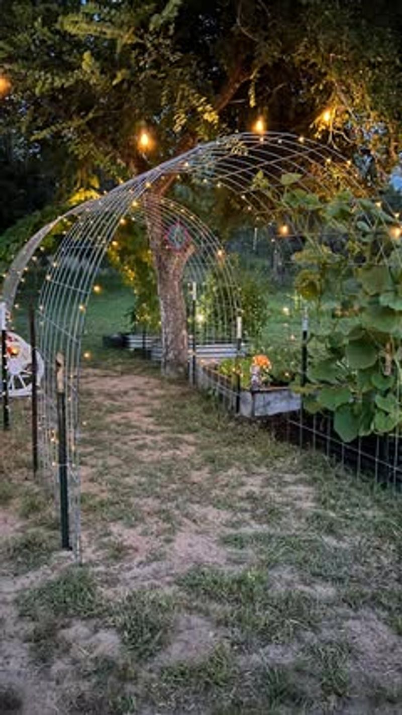 Magical Light Tunnels