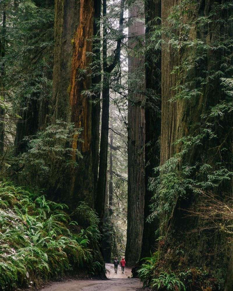 Brookings: Gateway To The Redwoods