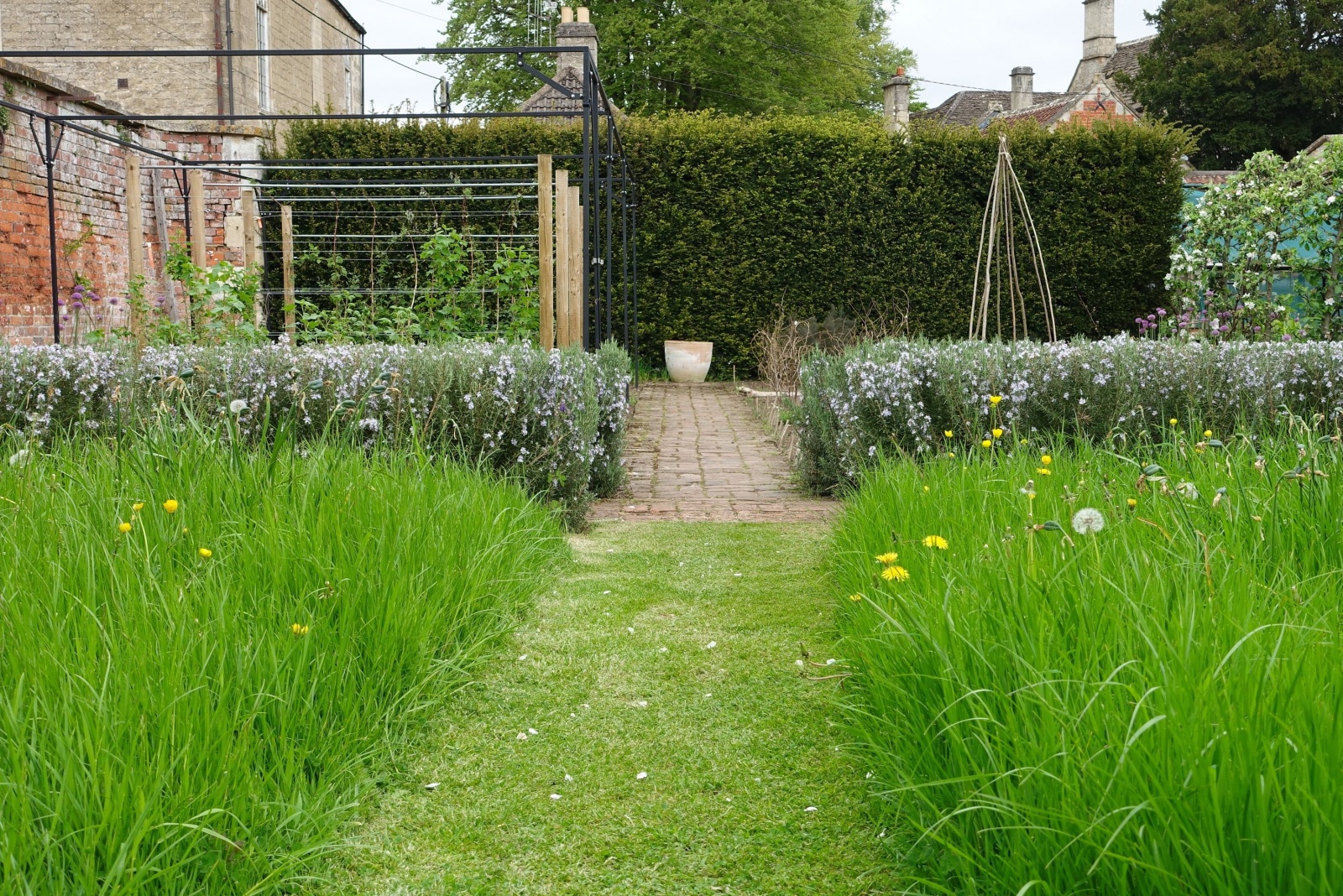 Beautiful Wild Garden with a Grass Mowed Lawn Path