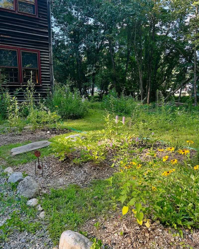 Native Pollinators Return