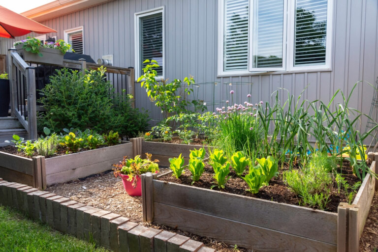 raised beds (featured image)