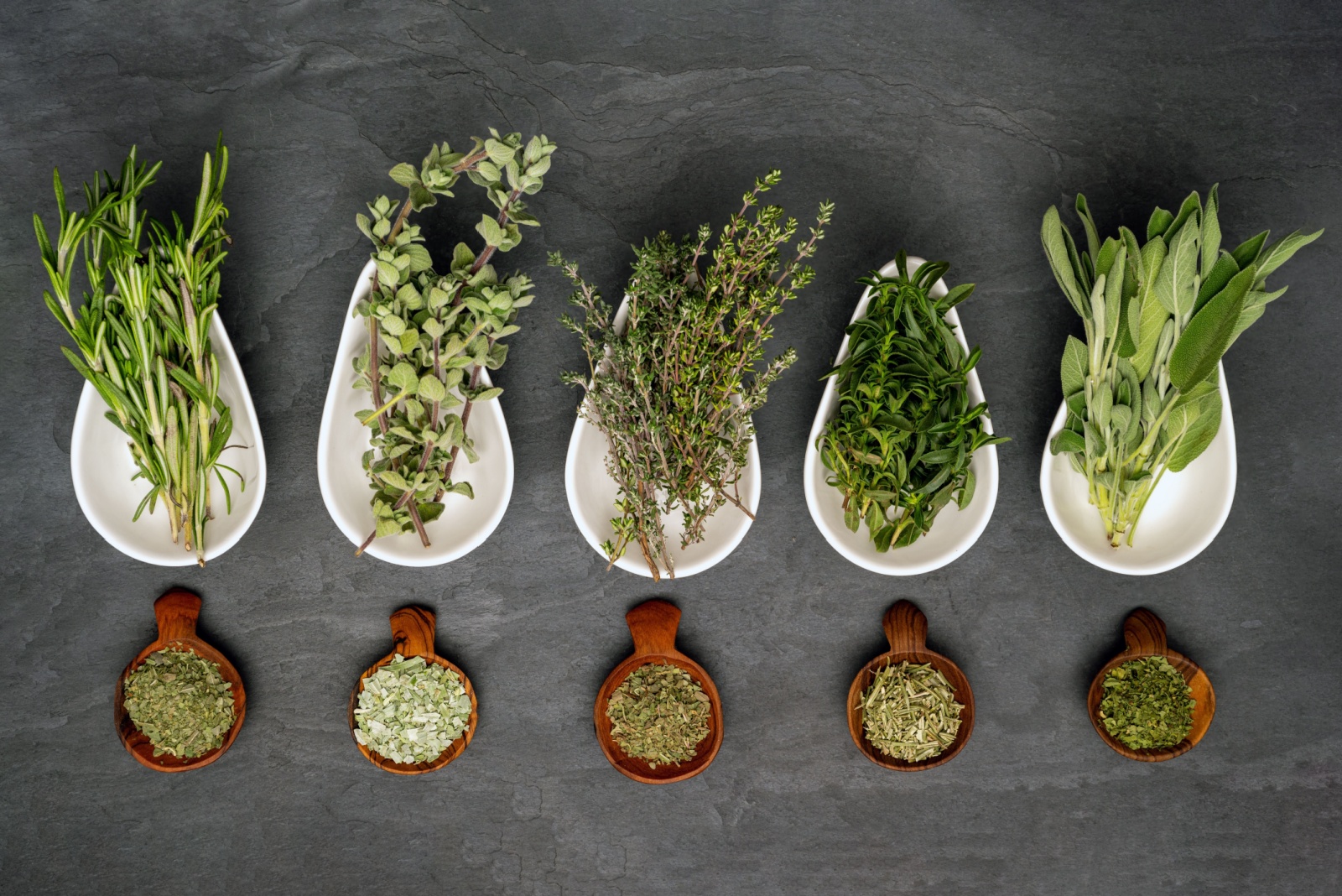 The Best Herbs To Dry Before Winter In New Mexico