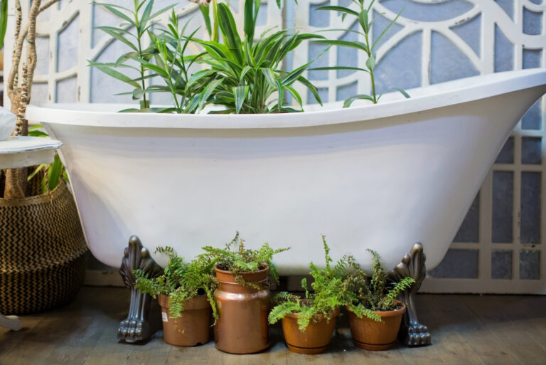 bathtub near mirror ang green plants (featured image)