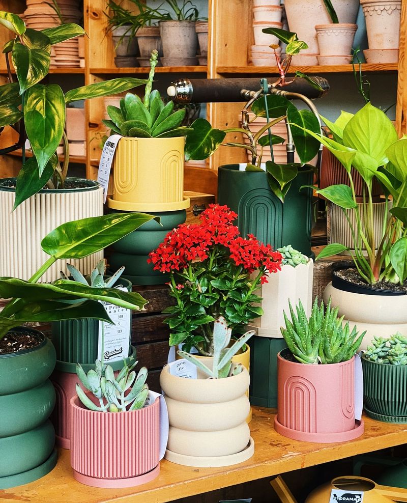 Group Plants Together