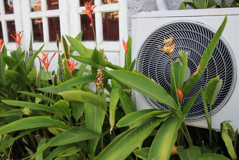 ac in garden behind plants