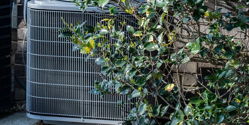 Plant A Strategic Shrub Screen
