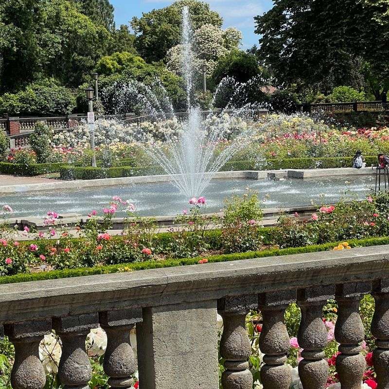 Peninsula Park Rose Garden