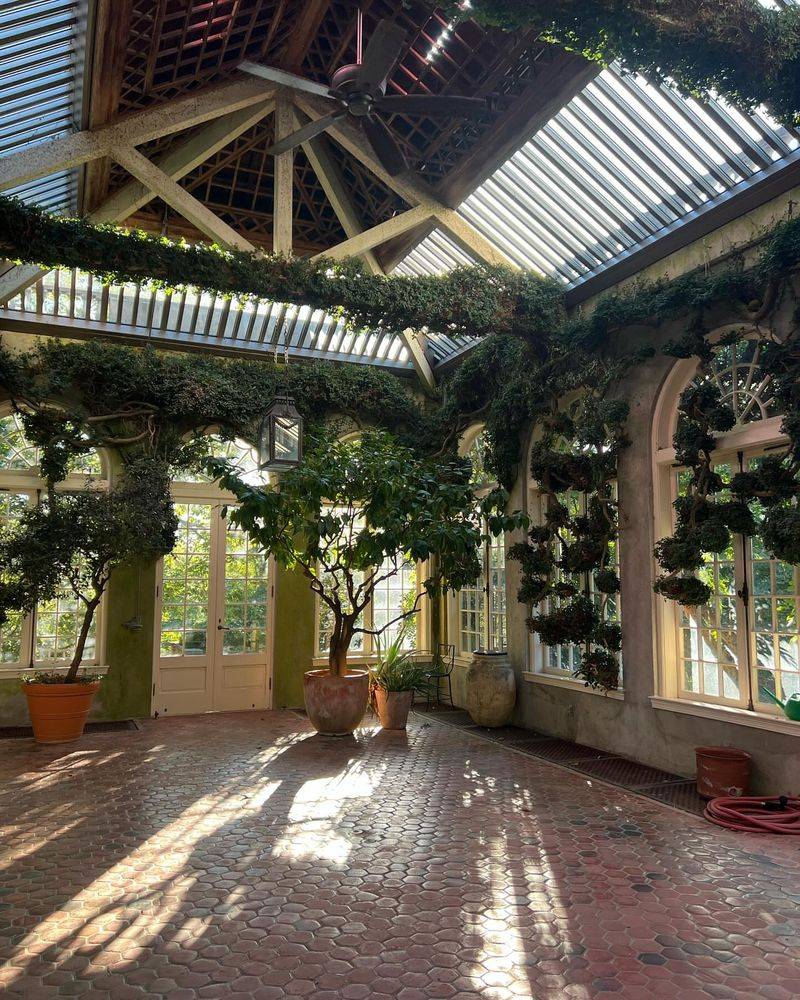 Orangery's Year-Round Botanical Wonders
