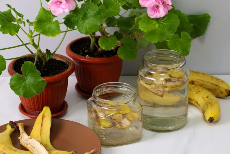 banana peel fertilizer