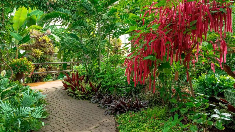 Seasonal Blooms At The Regenstein Center