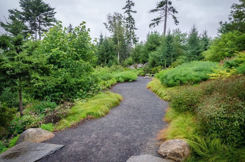 Shoreland Trail's Rocky Coastline Views