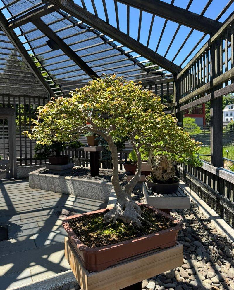 Scientific Research Hub For Plant Biology