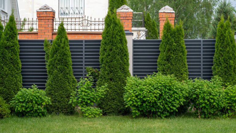 privacy screen garden