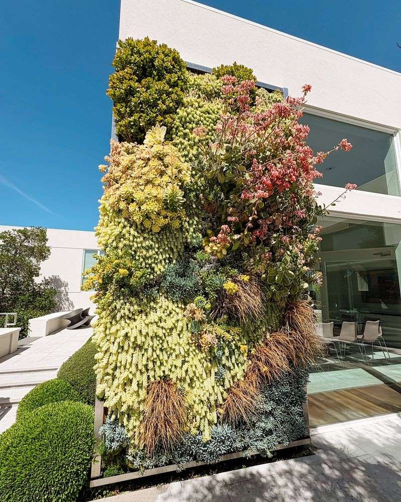 Living Wall Installations