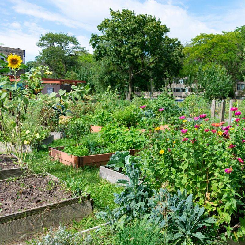 Edible Plantings In The Fruit & Vegetable Garden