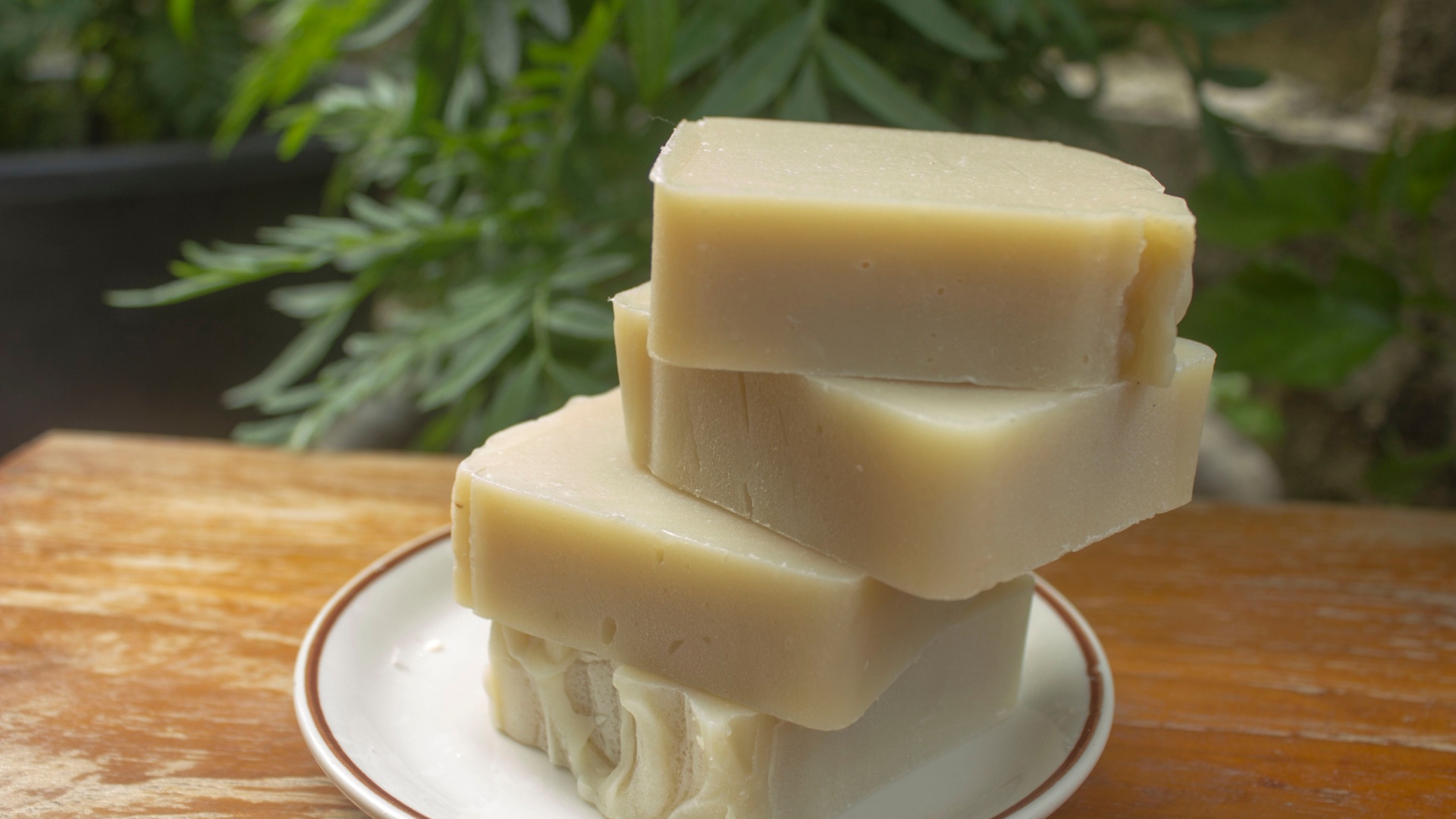 The Surprisingly Brilliant Reason Gardeners Are Putting Soap In The Yard