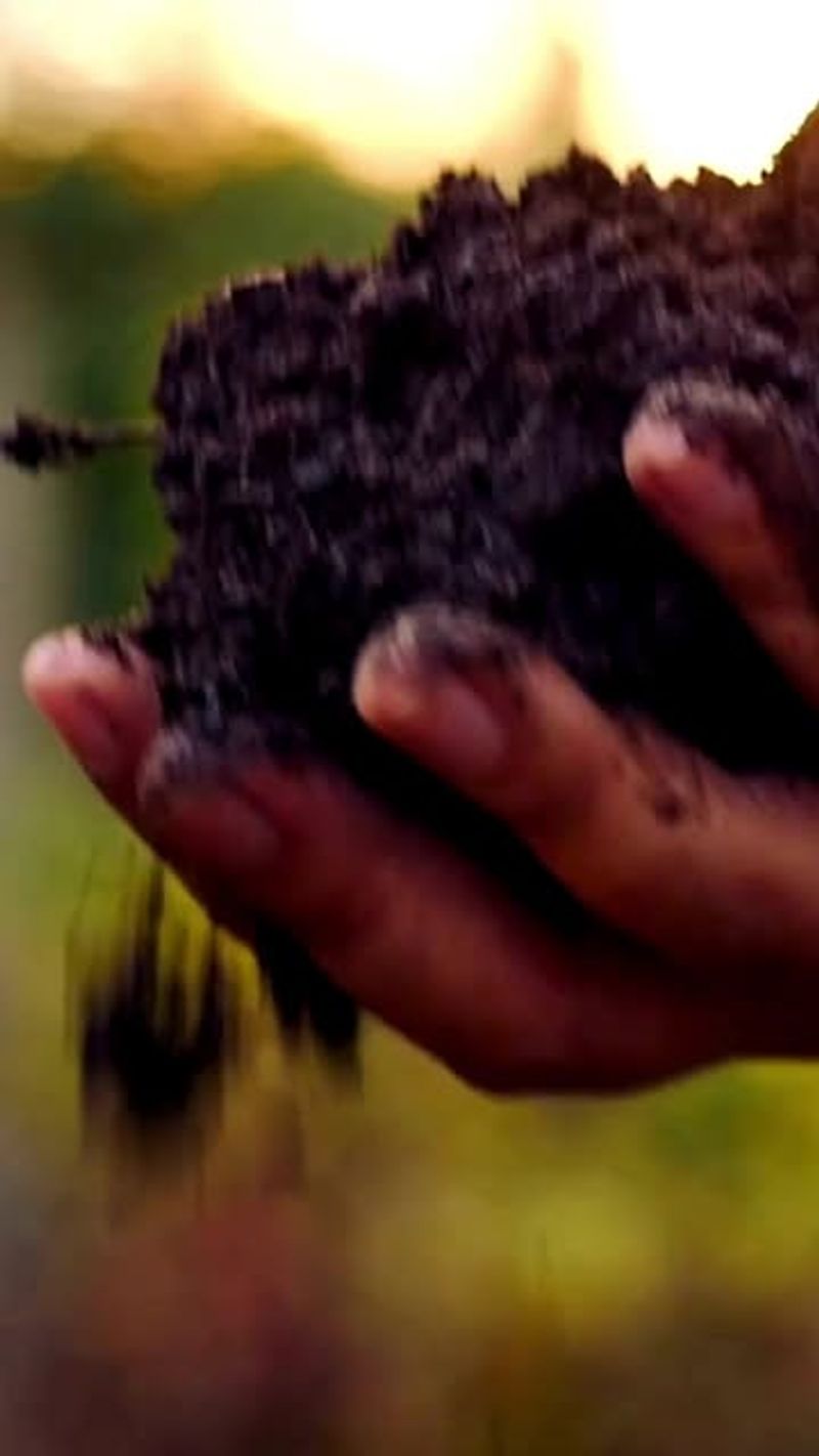 Skipping Soil Testing