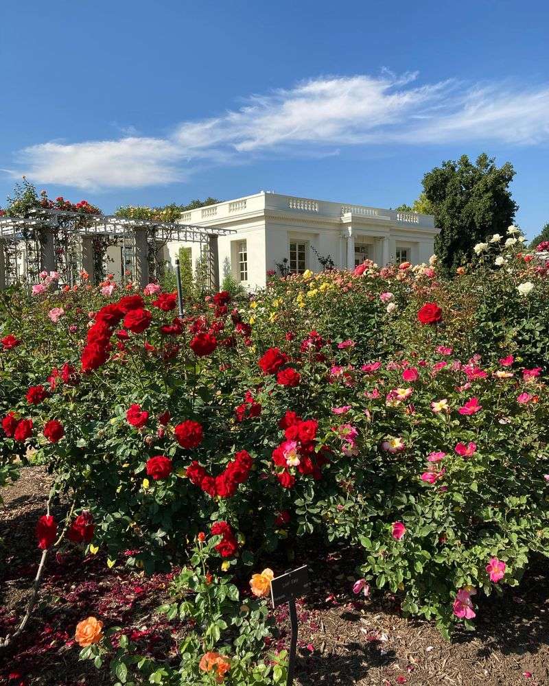 Bicentennial Rose Garden