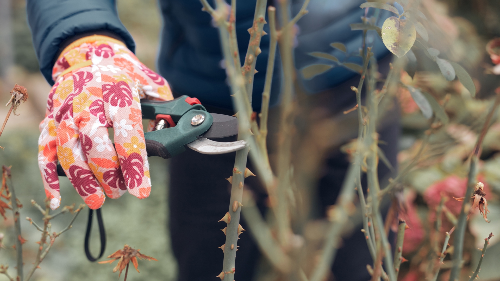 These 17 Plants Need To Be Pruned This Week If You Live In Michigan