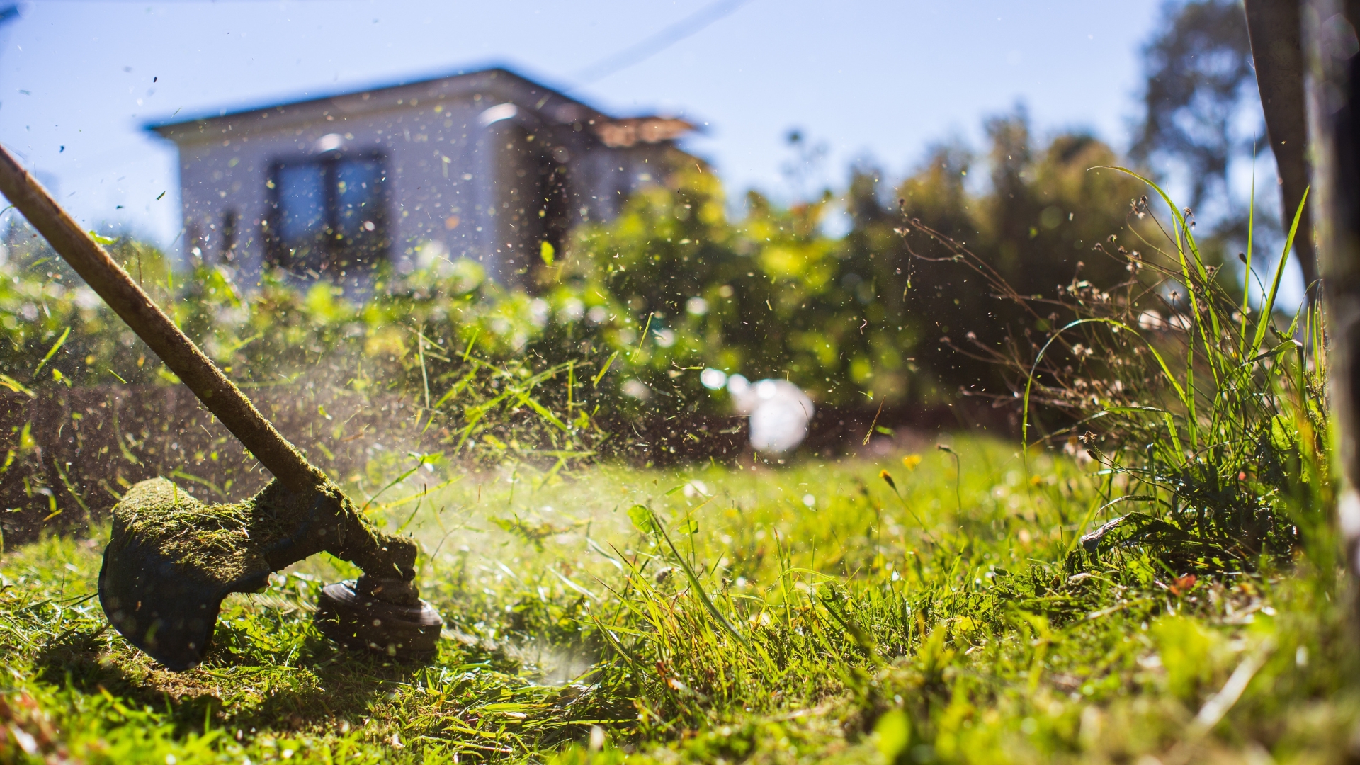 These Lawn Mistakes Are Wrecking Pennsylvania Yards In Late Summer