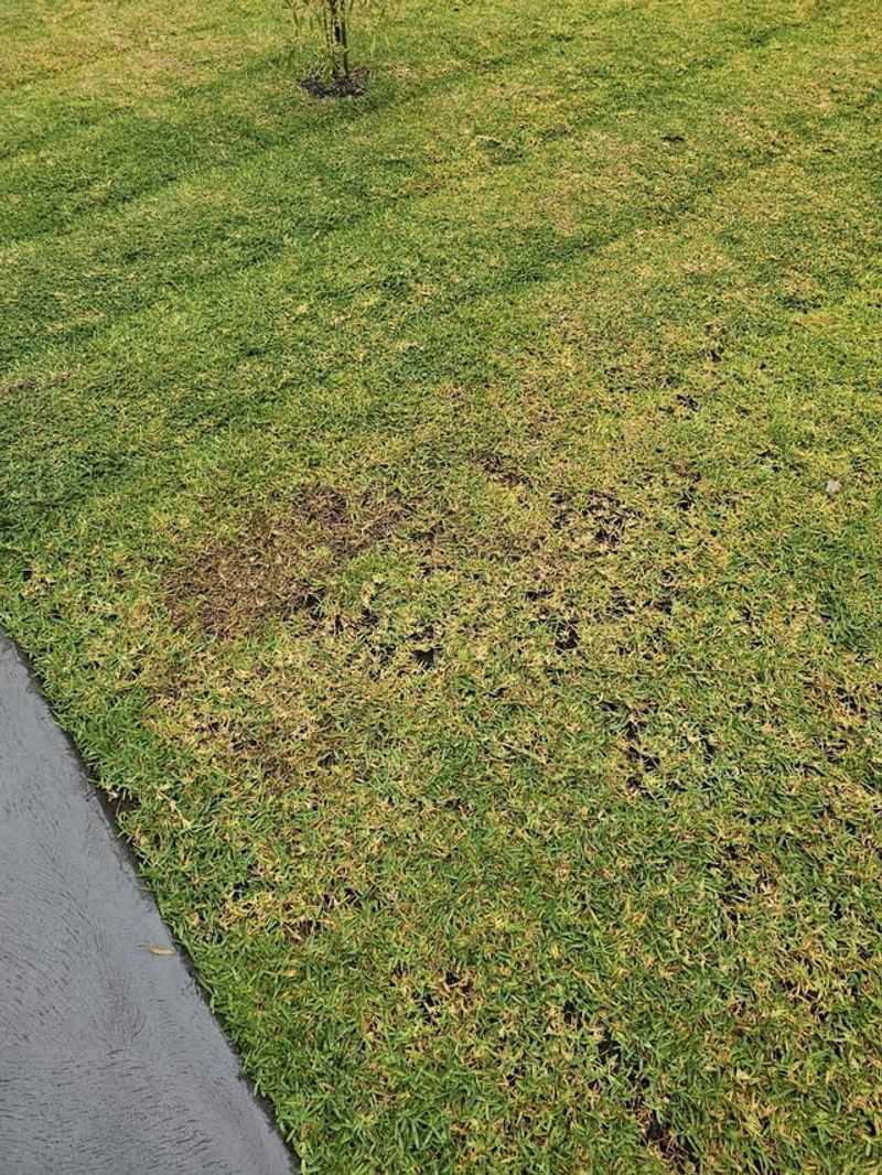 Mowing Too Short