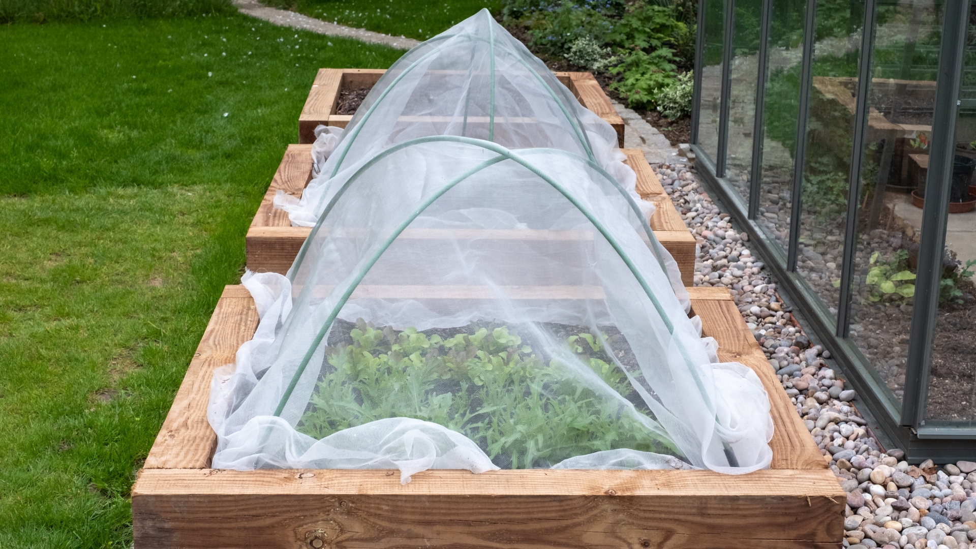 These Raised Bed Covers Help Texas Gardeners Extend Their Harvest