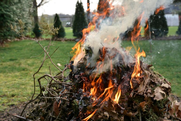 Burning leaves and sticks in the fall