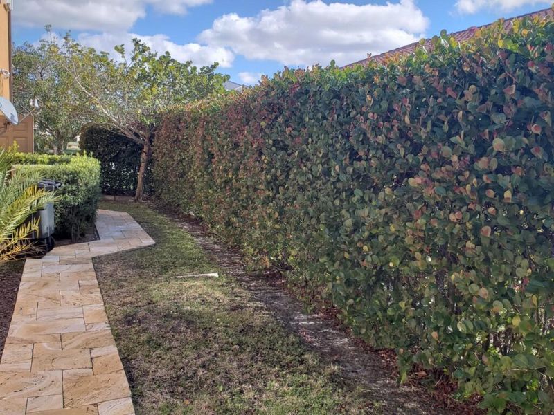 Towering Privacy Hedges