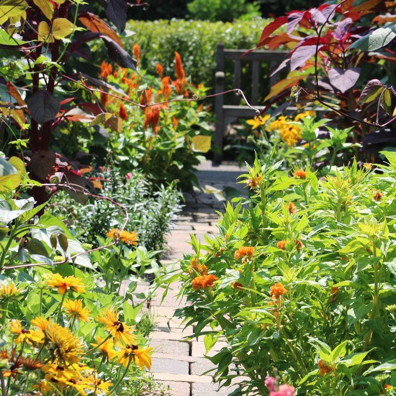 Children's Garden