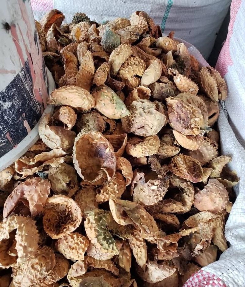 Peanut Shell Mulch