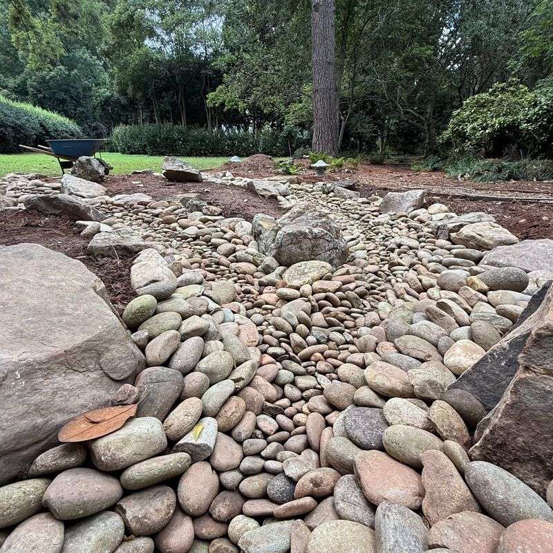 Dry Creek Bed