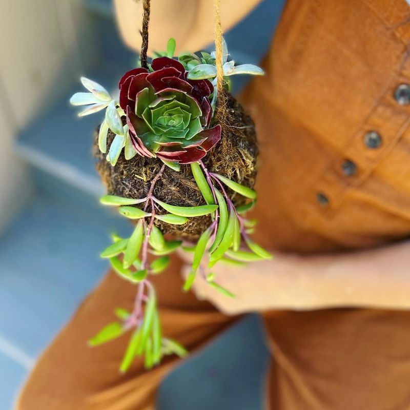 Hanging Kokedama String Garden