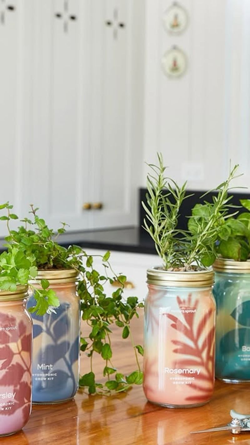 Self-Watering Conversion