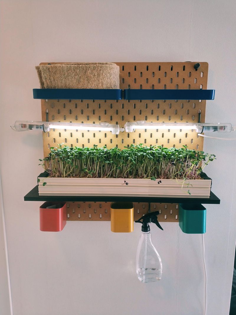 Pegboard Herb Display