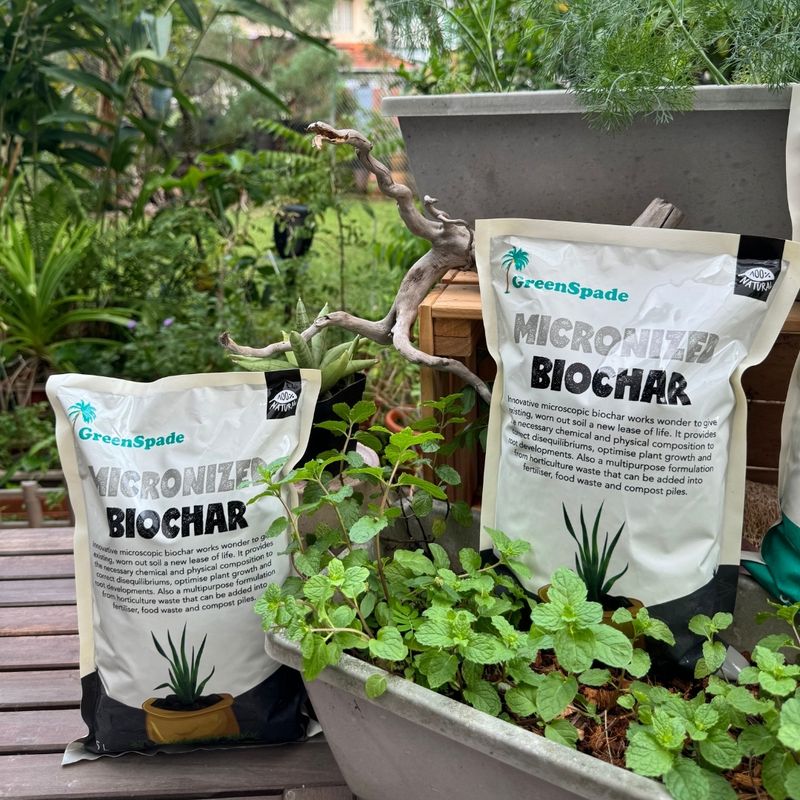 Add Biochar For Long-Term Improvement