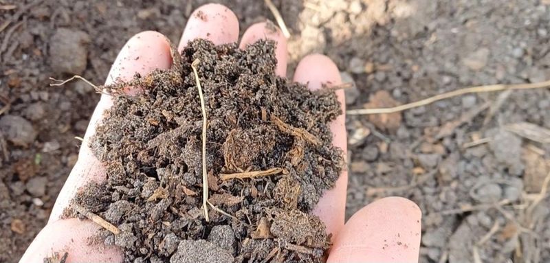 Boost Soil Health