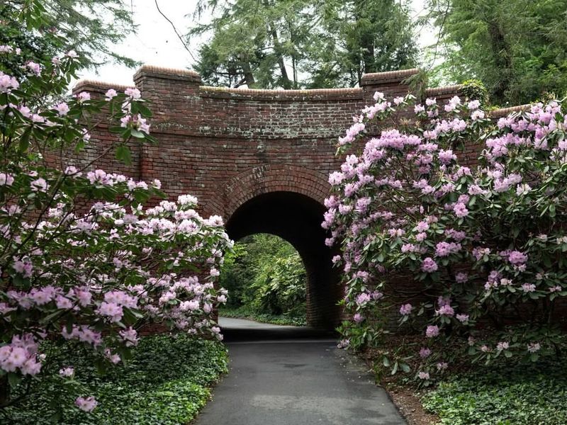 Biltmore Forest's Hidden Pathways