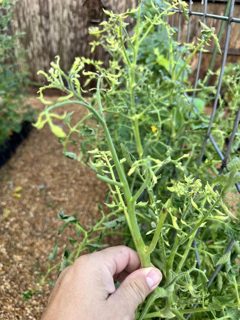 Herbicide Drift