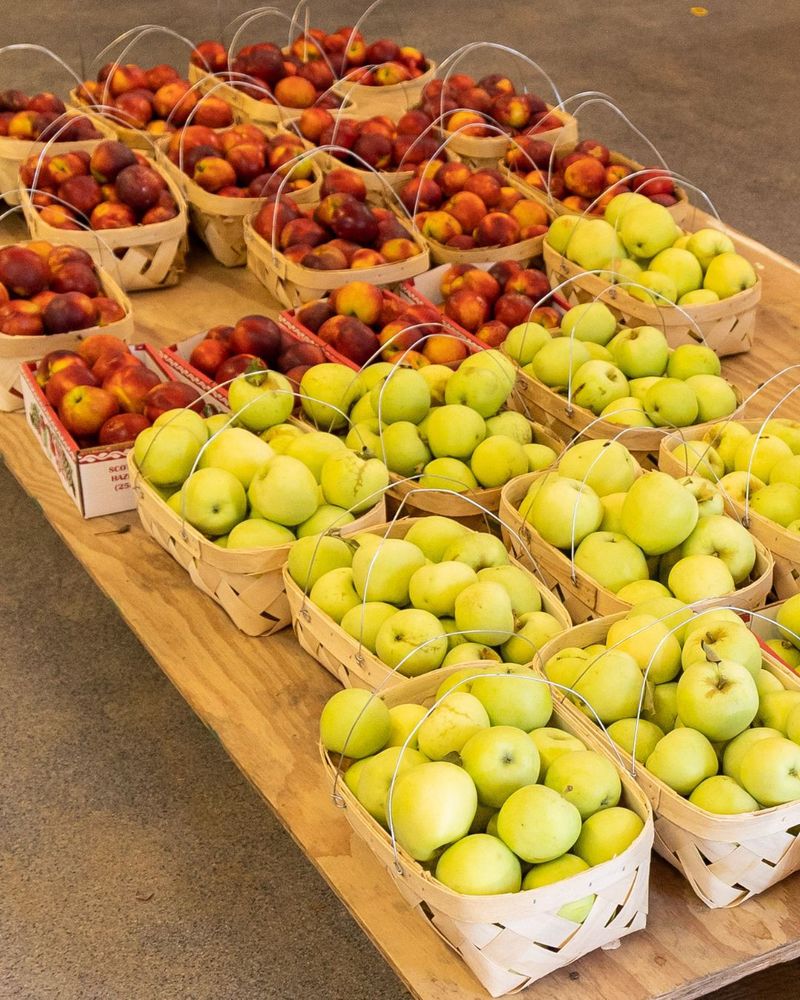 Apple Wrapping