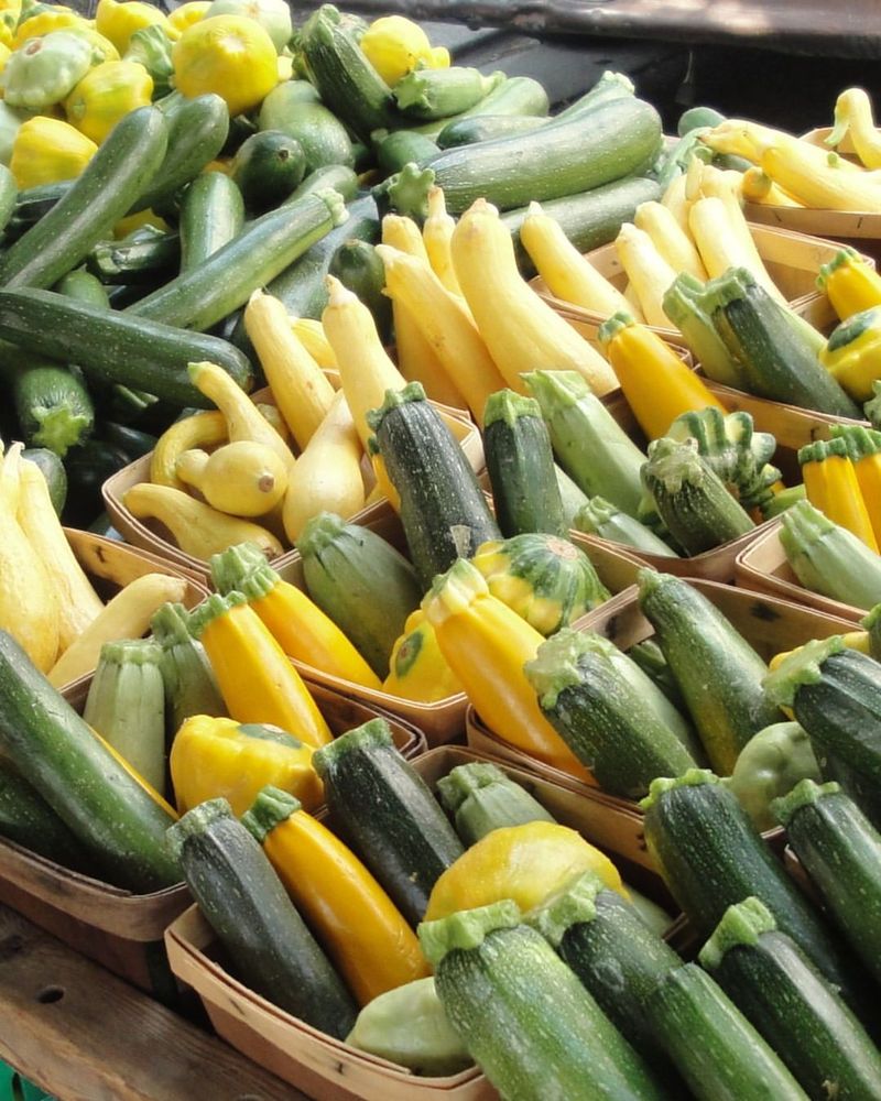 Zucchini