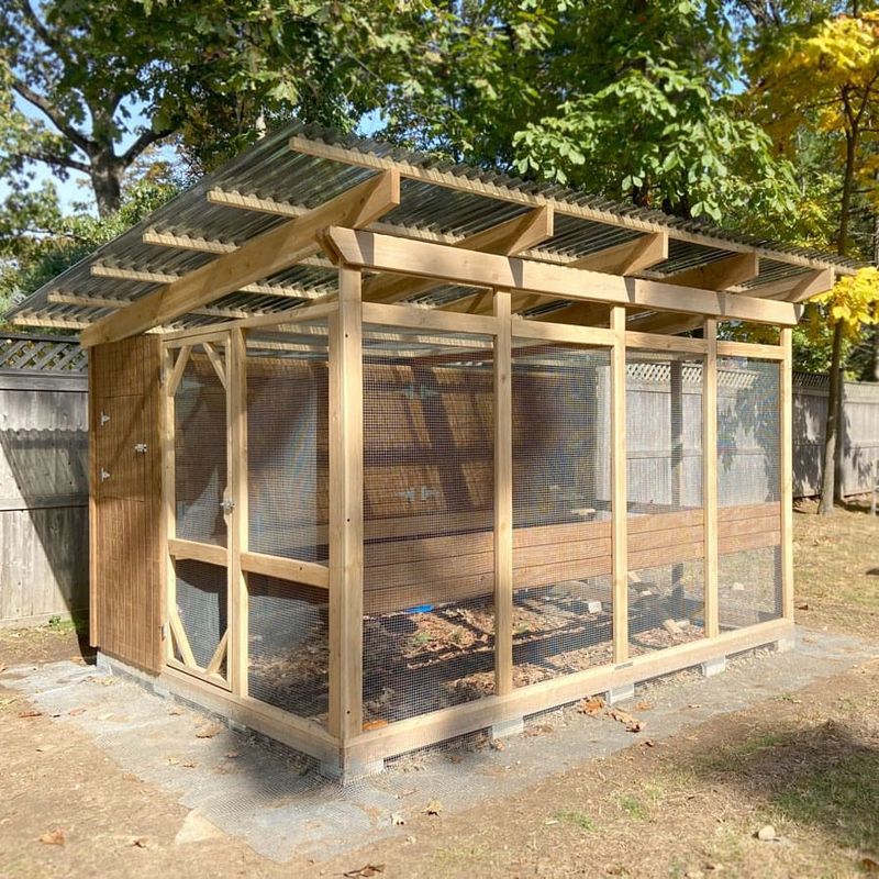 Backyard Chicken Coops